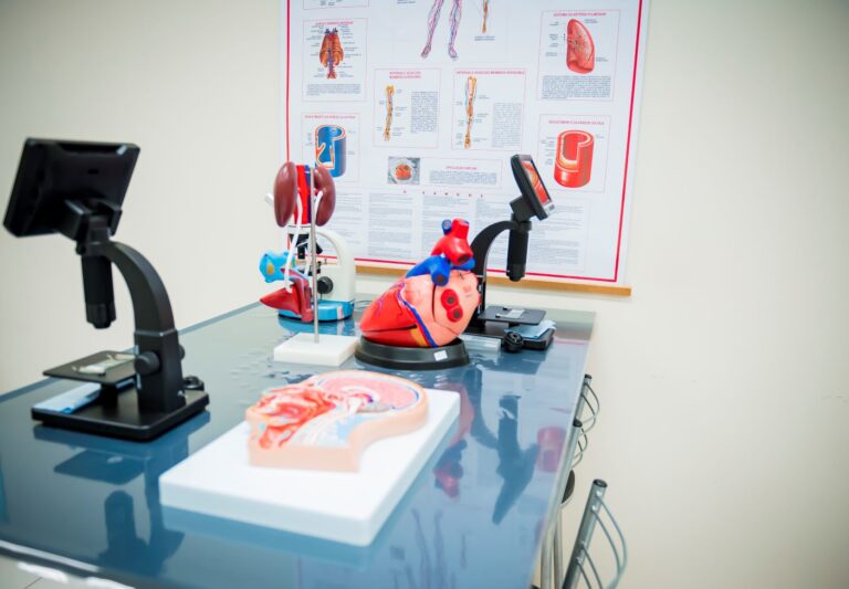 Aprovados no Vestibular 2026 garantem 50% de bolsa integral na Católica Paulista