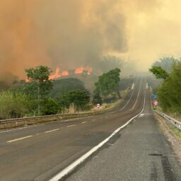Incêndios devastam áreas rurais, interditam rodovia e geram transtornos