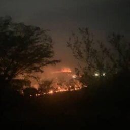 Furto de gado e queimadas; campo contabiliza prejuízos e pede ajuda da polícia