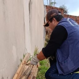 Saúde promove ação de captura de escorpiões e orientação educativa no Figueirinha