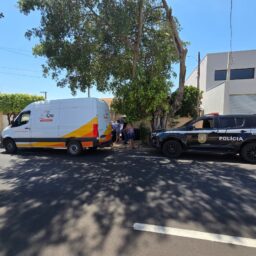 SIG resgata 15 animais em situação de maus-tratos na zona norte de Marília