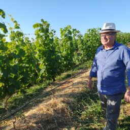 Ex-prefeito Daniel muda o tom e convida Vinicius para conhecer o Praia do Valle