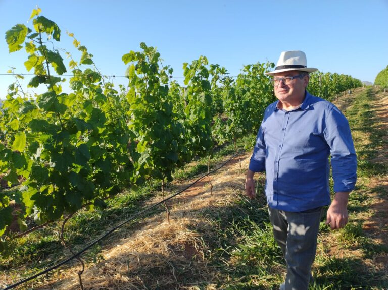Ex-prefeito Daniel muda o tom e convida Vinicius para conhecer o Praia do Valle