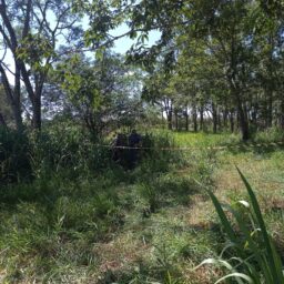 Homem é condenado por morte de engenheiro encontrado com o corpo mutilado