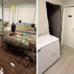 Associação Maria Flor tem perfil derrubado após apoiar entidade alvo de operação policial