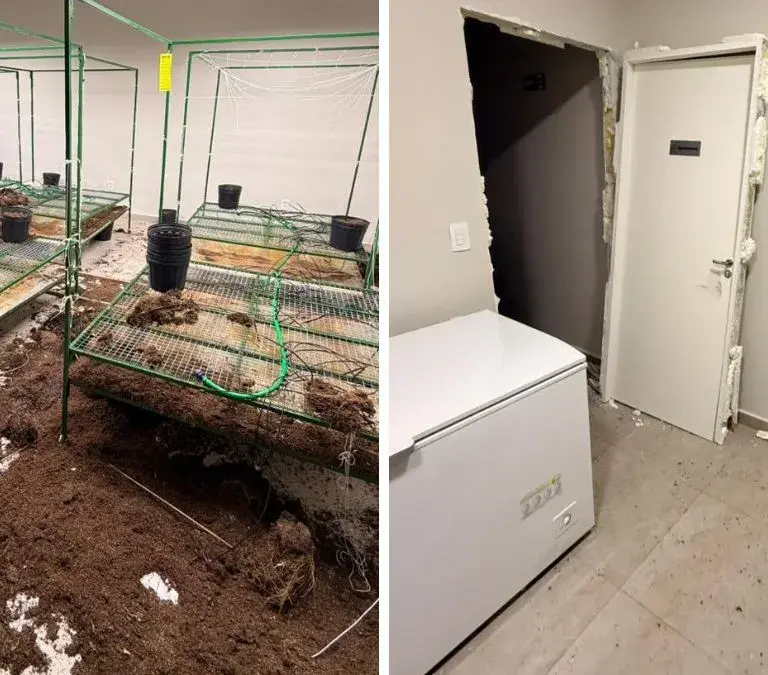 Associação Maria Flor tem perfil derrubado após apoiar entidade alvo de operação policial