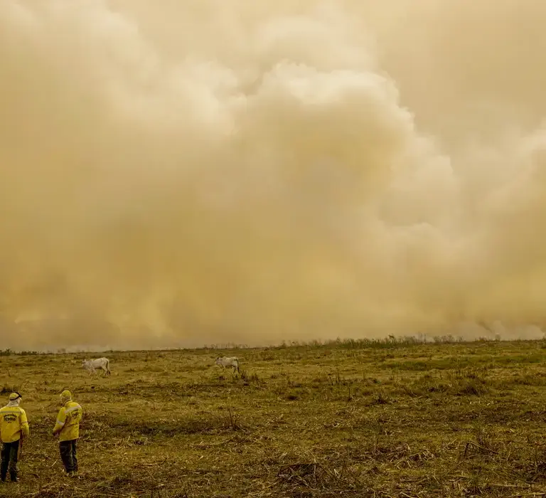 Calor já mata meio milhão de pessoas por ano, alertam cientistas