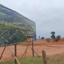 Alonso ignora embargo e Praia do Valle segue com movimentação