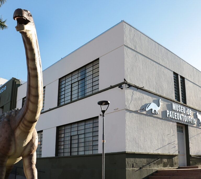 Museu celebra 21 anos com ações e anúncio de expansão