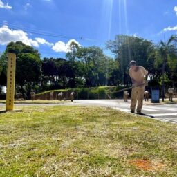 Corredores comerciais viram prioridade em mutirão de zeladoria em Marília