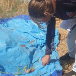 Cidade terá mutirão contra a dengue e campanha de vacinação neste sábado