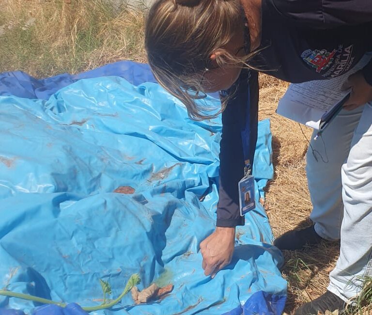 Cidade terá mutirão contra a dengue e campanha de vacinação neste sábado