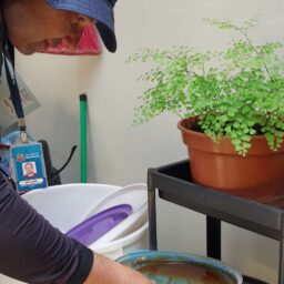 Marília inicia levantamento que indica nível de infestação do Aedes