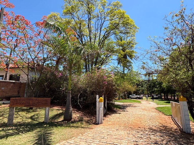 Secretaria da Cultura estuda criação de Museu do Café em Marília