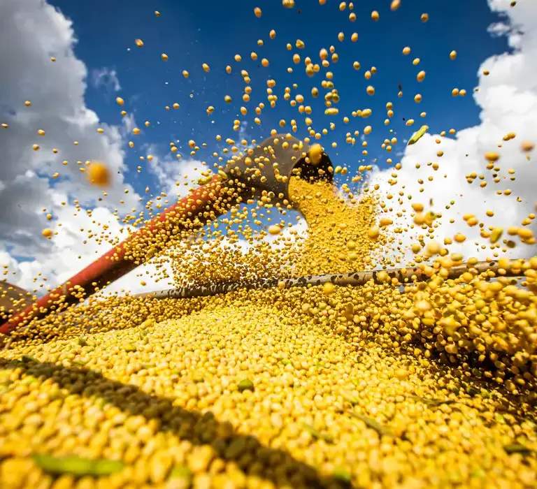 Brasil estima colheita de 354,8 milhões de toneladas de grãos, diz Conab