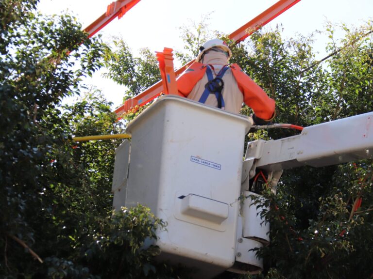 Prefeitura propõe convênio com a CPFL para arborização segura