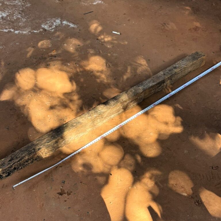 Polícia prende três por homicídio e esquartejamento em Quintana