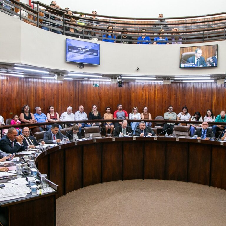 Câmara amplia proteção social com novas regras, programas e homenagens
