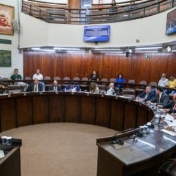 Câmara aprova programa de arborização e mantém veto a lei de hidrantes
