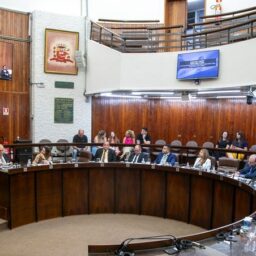 Câmara vota veto parcial e analisa parceria para arborização segura