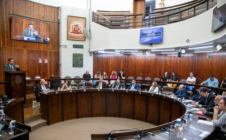 Câmara vota veto parcial e analisa parceria para arborização segura