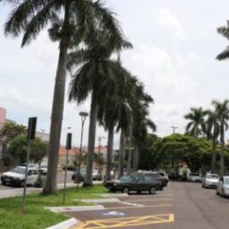 Marília tem média próxima a três carros furtados por semana