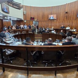 Câmara vota criação de equoterapia municipal