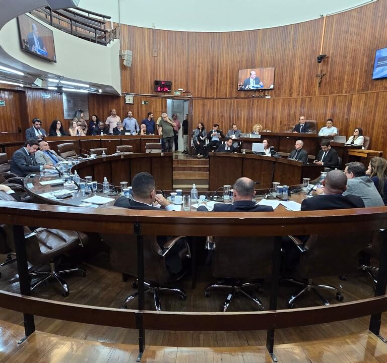 Câmara vota criação de equoterapia municipal