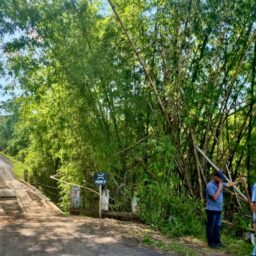 Ponte do Prata será interditada para manutenção a partir de segunda-feira