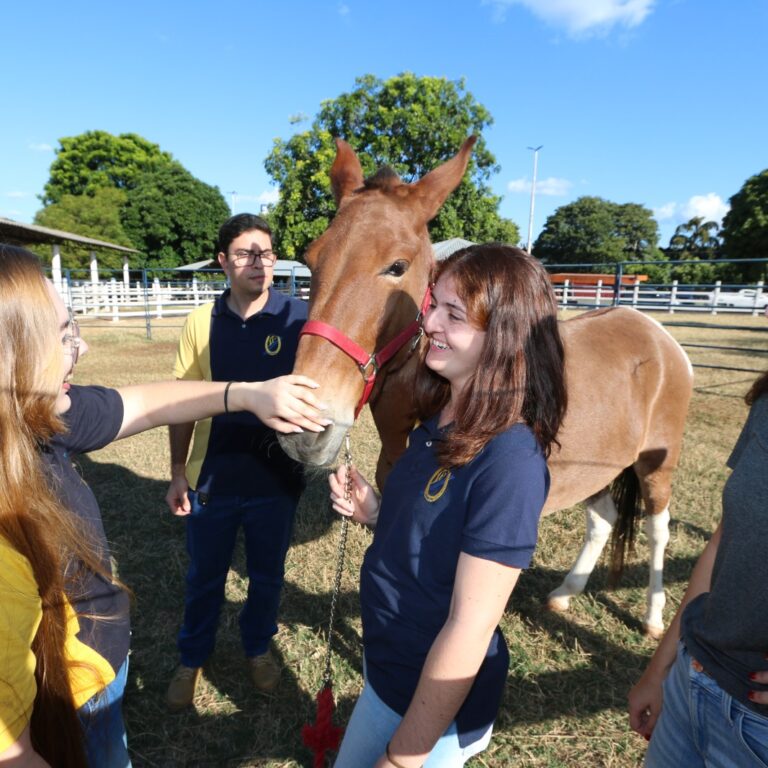Unimar abre inscrições para mestrado em saúde animal e sustentabilidade no agronegócio