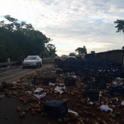 Após acidente com carreta de bananas, veículo com mangas tomba na mesma curva