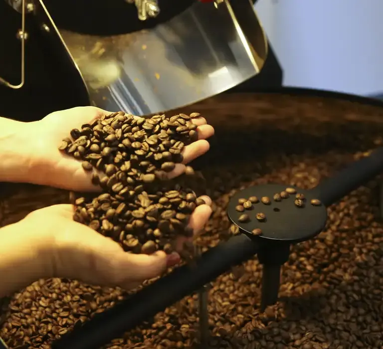 Trump reduz tarifas para café, laranja, carne bovina e outros produtos