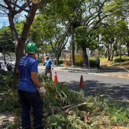 Marília intensifica limpeza e manutenção do Centro antes do início do Natal Iluminado