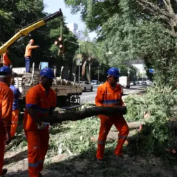 Após ventania, região metropolitana tem 1,5 milhão de clientes sem energia