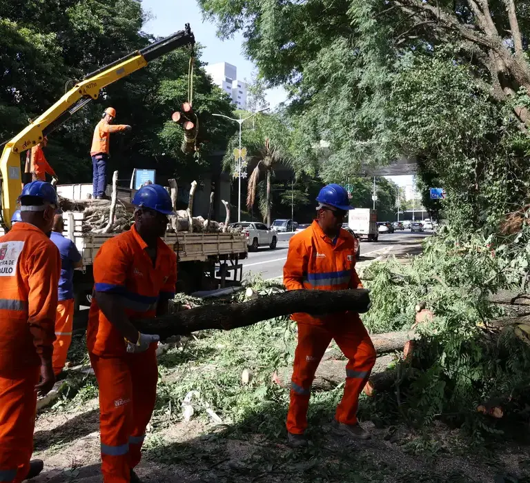 Após ventania, região metropolitana tem 1,5 milhão de clientes sem energia