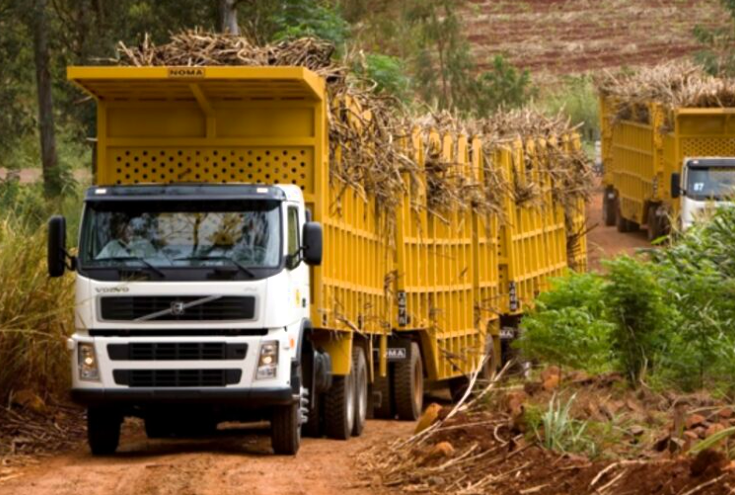 Tribunal mantém lei que proíbe o tráfego de caminhões canavieiros