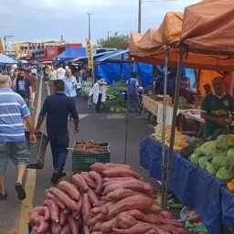 Lei obriga banheiros químicos com lavatórios em feiras livres de Marília