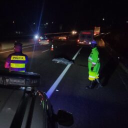 Polícia identifica vítima de atropelamento na Rodovia do Contorno em Marília
