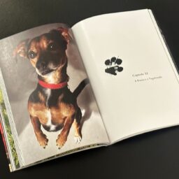 Livro mariliense sobre cão Pituco é destaque na imprensa nacional