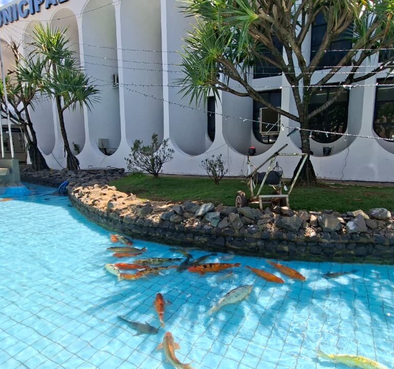 Após reforma, carpas retornam ao espelho d’água do Paço Municipal em Tupã