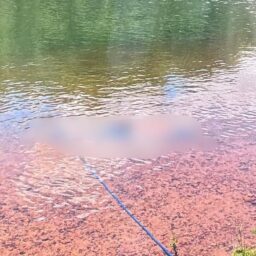 Homem desaparecido na região tem corpo localizado pelos Bombeiros