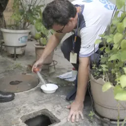 Ministério lança edital para formar agentes populares de saúde