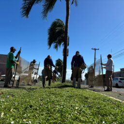 Força-tarefa amplia serviços de capinação e limpeza urbana em Marília