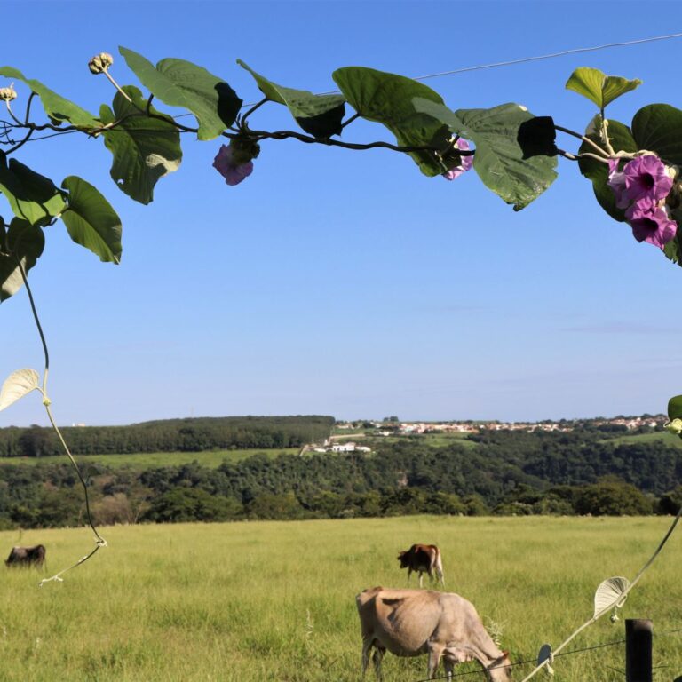 Curso de Turismo Rural chega à 6ª edição e abre inscrições em Marília