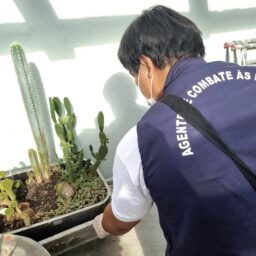 Alto índice de infestação do Aedes preocupa em Marília, aponta levantamento