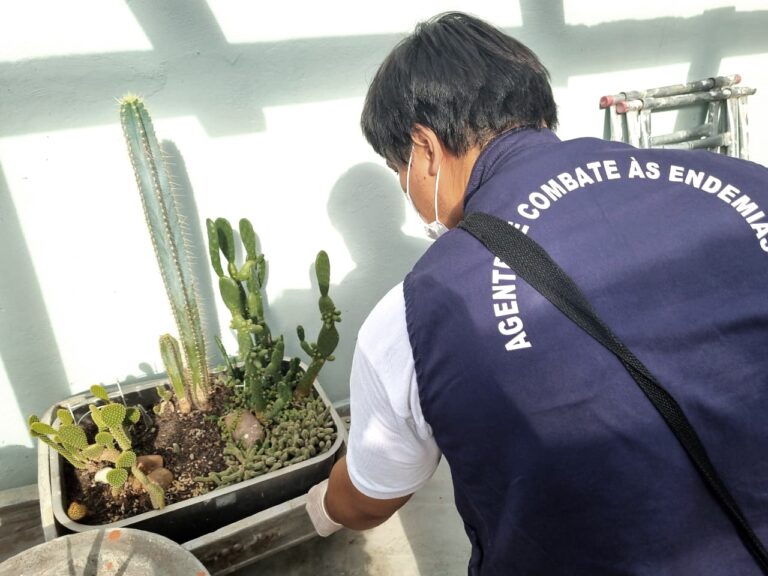 Alto índice de infestação do Aedes preocupa em Marília, aponta levantamento