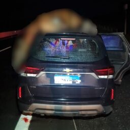 Família fica ferida após colisão com cavalo solto na rodovia em Vera Cruz