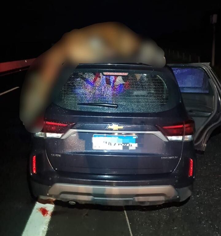 Família fica ferida após colisão com cavalo solto na rodovia em Vera Cruz