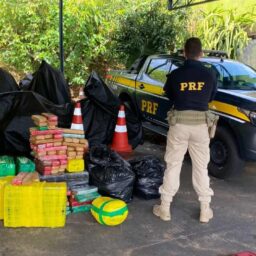 PRF apreende 256 quilos de maconha em Marília durante monitoramento a carro furtado