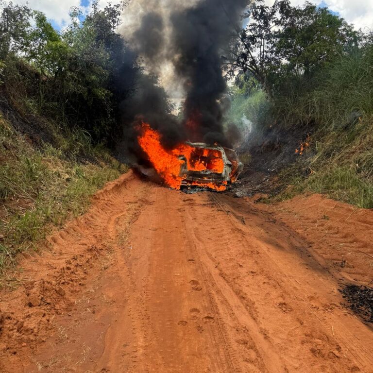 DIG esclarece morte que terminou com corpo queimado dentro de carro